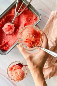 homemade sorbet served in glass bowls